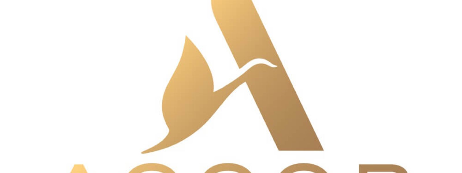 Accor: Οικονομικά αποτελέσματα τρίτου τριμήνου 2024