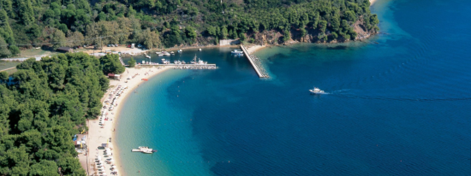 Skiathos-Palace-Hotel-stis Skiathos Palace Hotel | Στις καλύτερες επιχειρήσεις για εργασία- πρώτη ξενοδοχειακή στη Θεσσαλία και από τις λίγες στην Ελλάδα