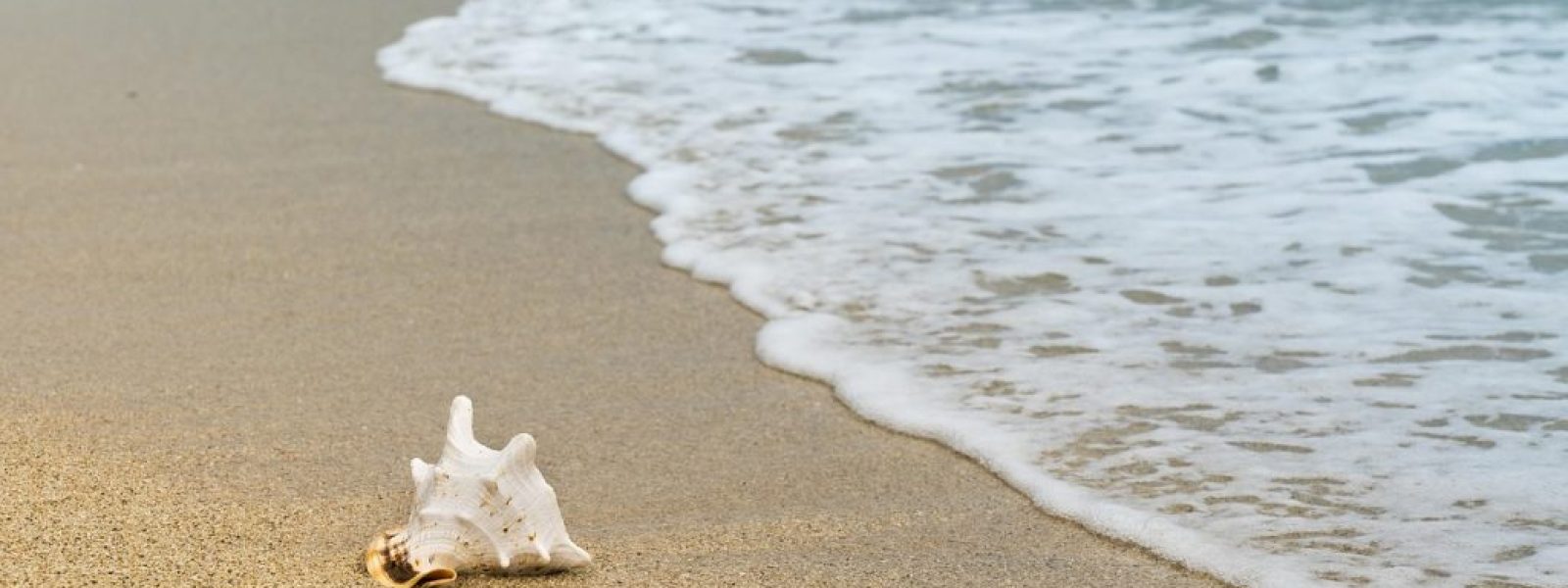 koronisia-to-magiko-nisi-tis Κορωνησία: Το μαγικό «νησί» της Ηπείρου που οδηγείς… «πάνω» στο νερό